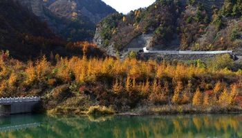 Autumn scenery of national forest park at Liupanshan Mountain in China's Ningxia