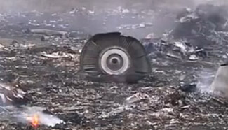 Timeline of MH17 crash and probe