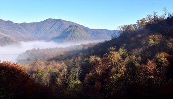 Autumn scenery in Shennongjia Dajiu Lake National Wetland Park