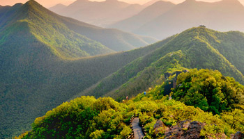 Tucked away in a bamboo sea