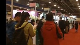 Overseas schools woo Chinese at the expo