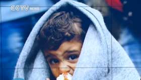 Taxi business booming as refugee arrivals soar