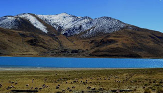 Breathtaking scenery of Yamzho Yumco Lake in Tibet