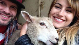 British farm provides acupuncture for blessed animals