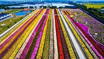 Bird's-eye view of rural landscape in Shanghai