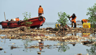 Workers clean up rubbish on coast of Jakarta