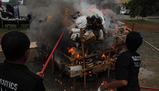 Over 2 tons of confiscated dry cannabis burnt down in Indonesia