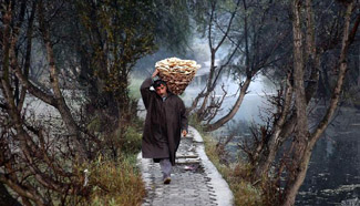 Daily life of people in Indian-controlled Kashmir