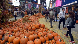 Pop-up pumpkin patch is set up for Halloween in Times Square, New York
