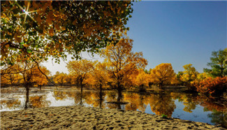 Best place to see autumn colours - Ejina