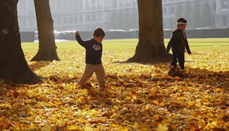 Autumn scenery of Belgium's Brussels