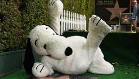 Snoopy gets a star on Walk of Fame in Hollywood