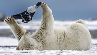 Are these in my size?