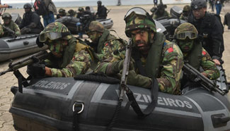 NATO troops have improved ability to deal with crisis: Stoltenberg