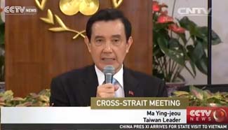 Taiwan: Xi-Ma meeting is for the next generation