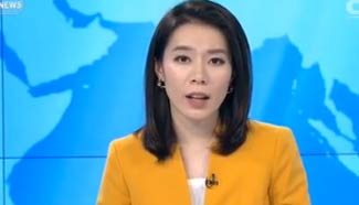 Afghanistan turns to India for military helicopters