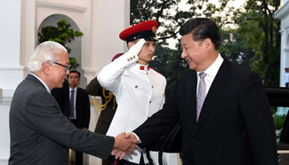 China, Singapore resolute in shaping closer, customized partnership