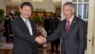 Chinese President Xi Jinping meets Singaporean PM Lee Hsien Loong