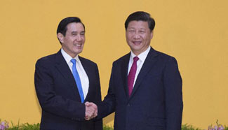 Video: Xi Jinping, Ma Ying-jeou meet in Singapore