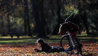Autumn scenery in Berlin, Germany