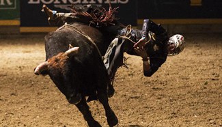 Horse riders compete during Rodeo section of 2015 Royal Horse Show