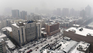 Harbin greets first snow of winter in NE China