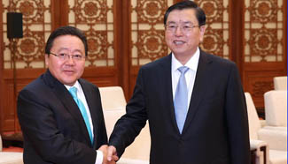 China's top legislator meets Mongolian president in Beijing