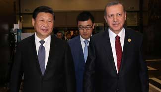 Chinese president meets with Turkish counterpart in Turkey