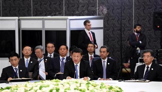 President Xi speaks at BRICS leaders' meeting in Antalya