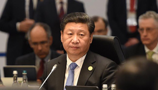 Chinese president attends 1st session of G20 Summit