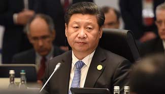 In pictures: President Xi attends G20 summit