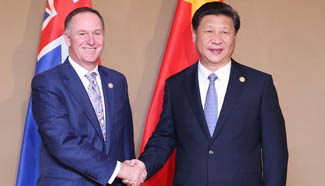 President Xi meets New Zealand's PM in Manila
