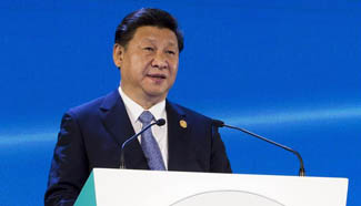President Xi addresses APEC CEO summit