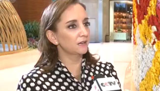 Mexican FM hails Chinese President Xi's speech