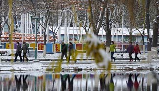 Snowfall witnessed in NW China's Ningxia