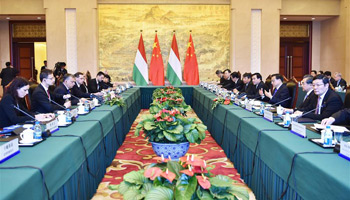 Chinese, Hungarian leaders meet on ties
