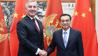 Chinese premier meets Montenegro PM on ties