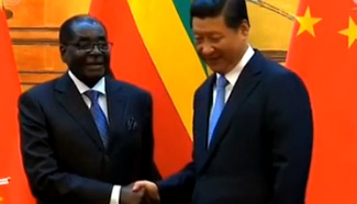 Zimbabwe eyes Chinese credit to ease chronic liquidity shortage