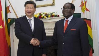 Chinese president meets with Zimbabwean counterpart