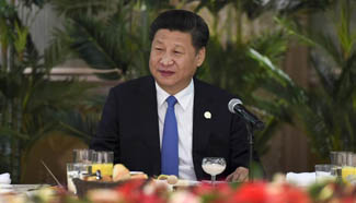 Chinese president, African leaders discuss development strategy