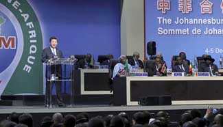 Xi proposes to upgrade China-Africa ties on 5 pillars