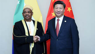 Xi urges China, Comoros to enhance economic cooperation