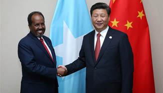 Chinese president meets with Somali president in Johannesburg