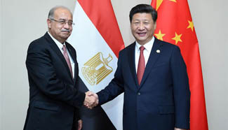 Chinese president meets with Egyptian PM in Johannesburg