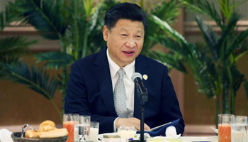 Chinese president pledges support for African independent development