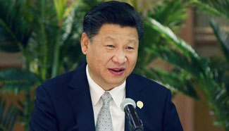 Xi proposes comprehensive strategic cooperative ties