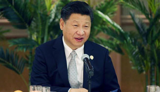 Chinese president pledges support for African independent development