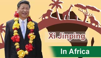 Infographic: Xi Jinping in Africa