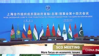 SCO meeting focuses on economic issues
