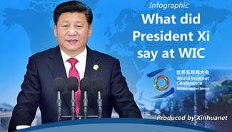 Infographic: What did President Xi say at WIC